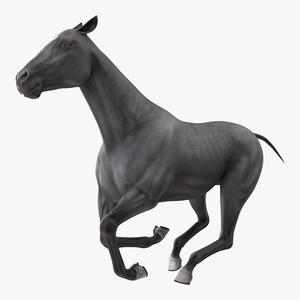 3D Gallop Black Horse model