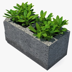 3D Cinder Block with Greenery