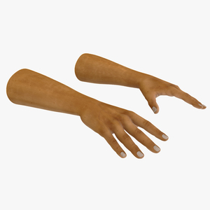 3D model European Man Hands Rigged