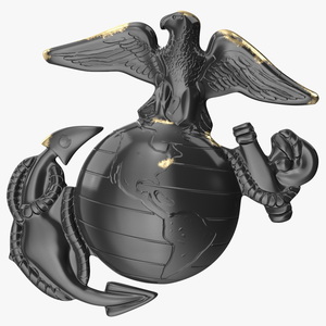 Black Eagle Cockade 3D model