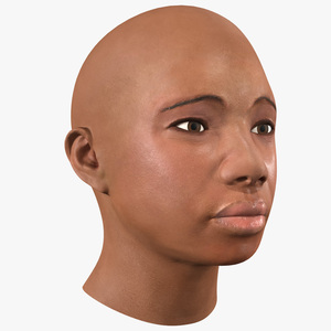 3D African American Female Head model