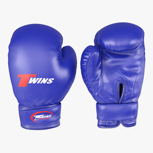 Boxing Gloves Twins Blue 3D model