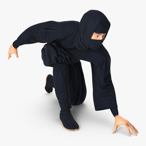 3D Japan Ninja