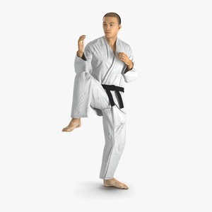 Japanese Karate Fighter Pose 3 with Fur 3D model