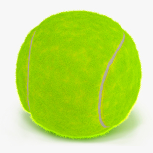 3D model Tennis Ball with Fur