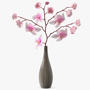 Phalaenopsis Orchid Tall Ceramic Vase 3D