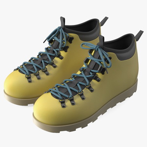 Hiking Boots 3D