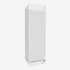 3D Square Glass Vase with Water model