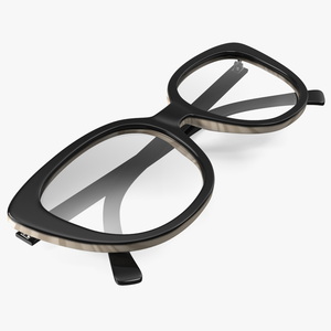 Reading Glasses Folded 3D