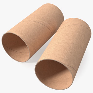 3D Toilet Paper Tubes model