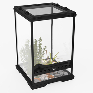 3D Little Desktop Terrarium with Plants