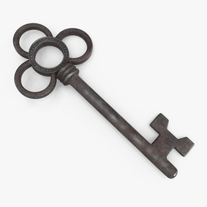 3D model Traditional Skeleton Key Steel