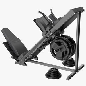 3D Leg Press and Hack Squat Machine with Plates Set model