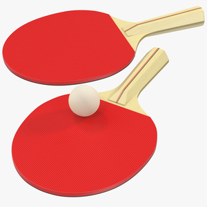 3D model Ping Pong Ball and Paddle