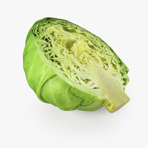 Cabbage Half 3D