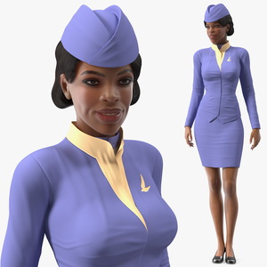 Light Skin Black Stewardess Rigged 3D model