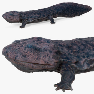 3D model Salamander Dark