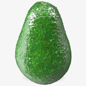 3D Avocado Fruit model