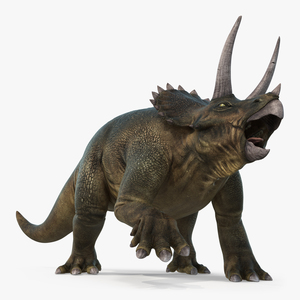 3D Triceratops Rigged model