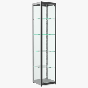 Glass Display Case Narrow Silver 3D