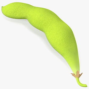 Green Soybean Pod 3D