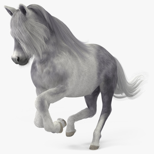 Galloping White Pony with Long Mane Fur 3D model