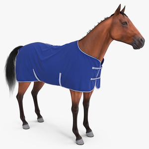 3D model Stable Rug Blue Fleece on Horse Fur