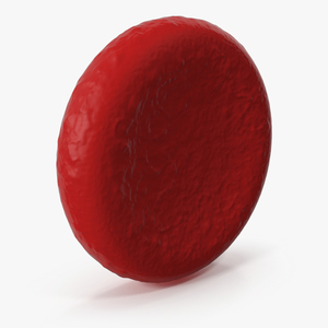 Erythrocyte Blood Cell 3D