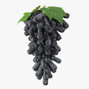 3D Grapes Sweet Sapphire with Leaf