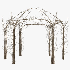 3D Twig Gazebo