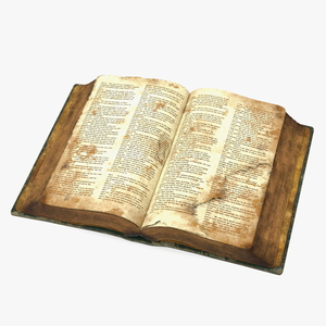 3D Very Old Open Book model