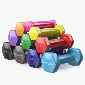 3D Vinyl Dumbbell Set model