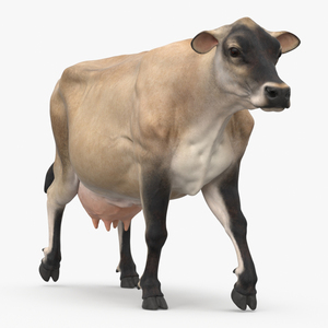 Mini Cow Goes Beige 3D model